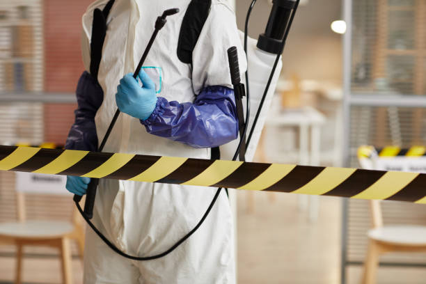 Professional Sewage Cleanup technician working in New Cuyama, CA